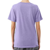 Bella + Canvas Tri-Blend T-Shirt