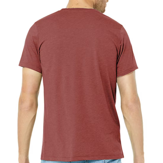 Bella + Canvas Tri-Blend T-Shirt