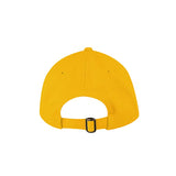 Valucap Bio-Washed Classic Dad Hat
