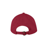 Valucap Bio-Washed Classic Dad Hat