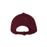 Valucap Bio-Washed Classic Dad Hat