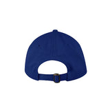 Valucap Bio-Washed Classic Dad Hat